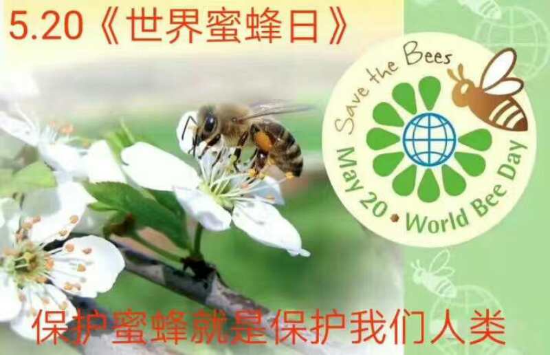 首届世界蜜蜂日广州举办“关爱蜜蜂 保护地球”活动
